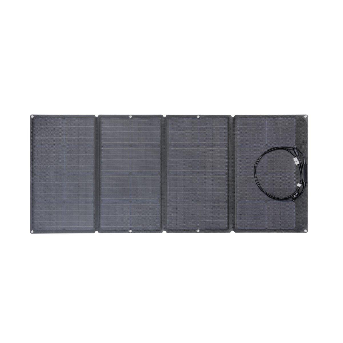 EcoFlow DELTA + 110W Solar Panel